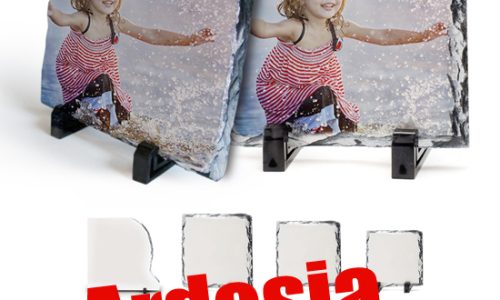 484990746_1126377159291986_1083711215565866255_n