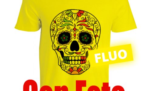 485373482_1126377239291978_9001019855359442554_n